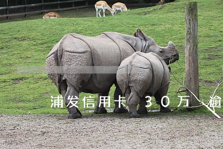浦发信用卡 30万 逾期 浦发信用卡 30万 逾期